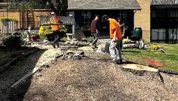A group of men are working on a tree stump in front of a house.