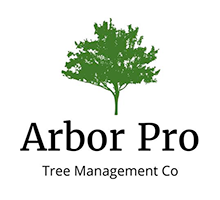The logo for arbor pro tree management co. has a tree on it.