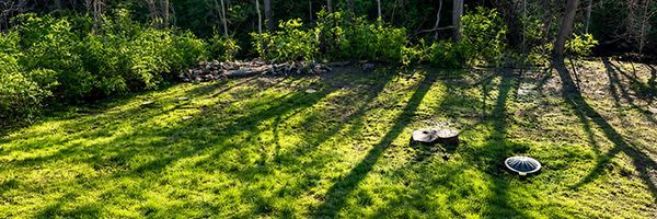 Sunlit grassy yard with long tree shadows, a stone path, and two round stepping stones near a wooded edge