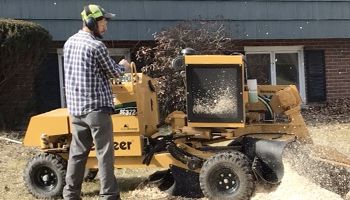 A man is using a stump grinder to remove a tree stump from a yard.