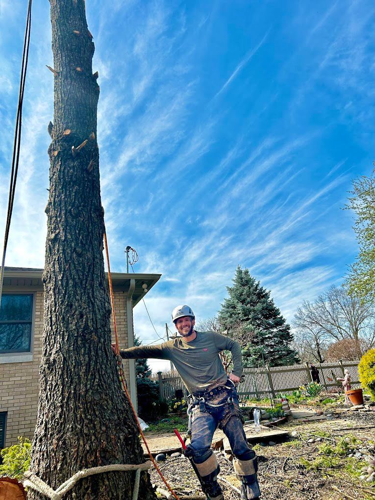 A man is standing next to a large tree in front of a house.