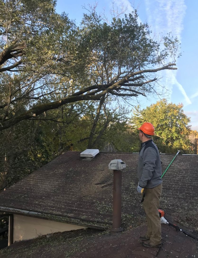A man is standing on the roof of a house cutting a tree.