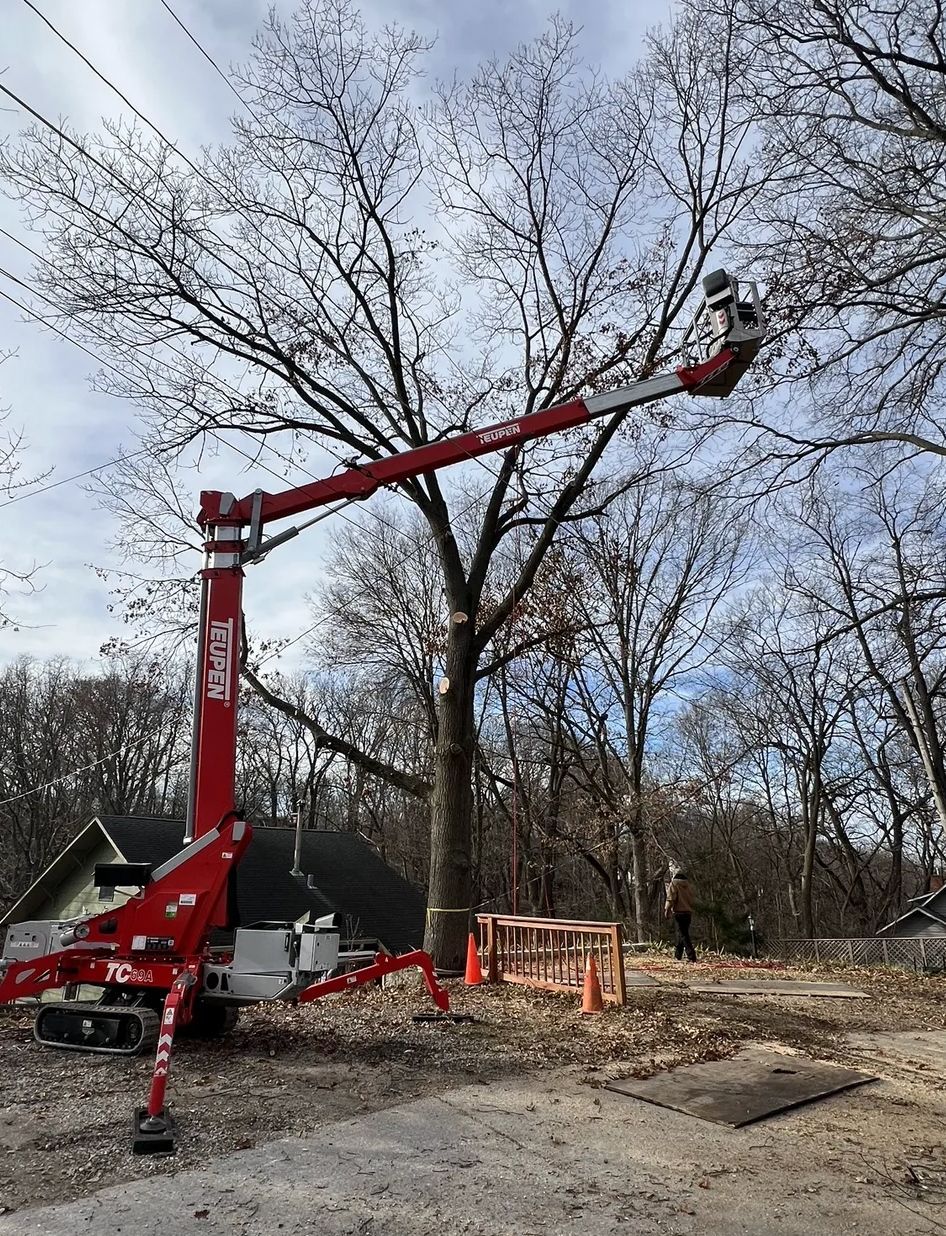 A red crane is cutting a tree in the woods.