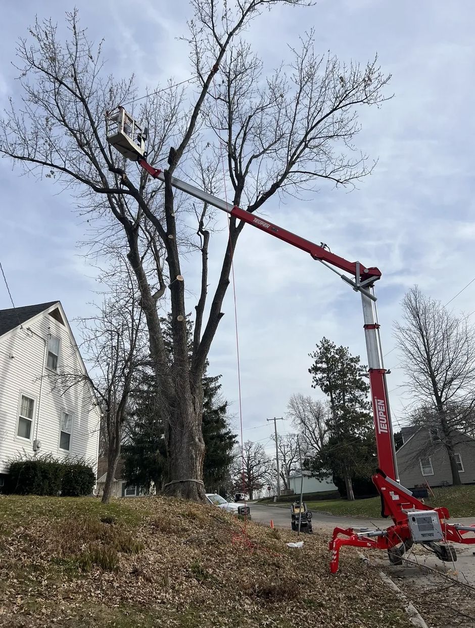 A crane is cutting a tree in front of a house.