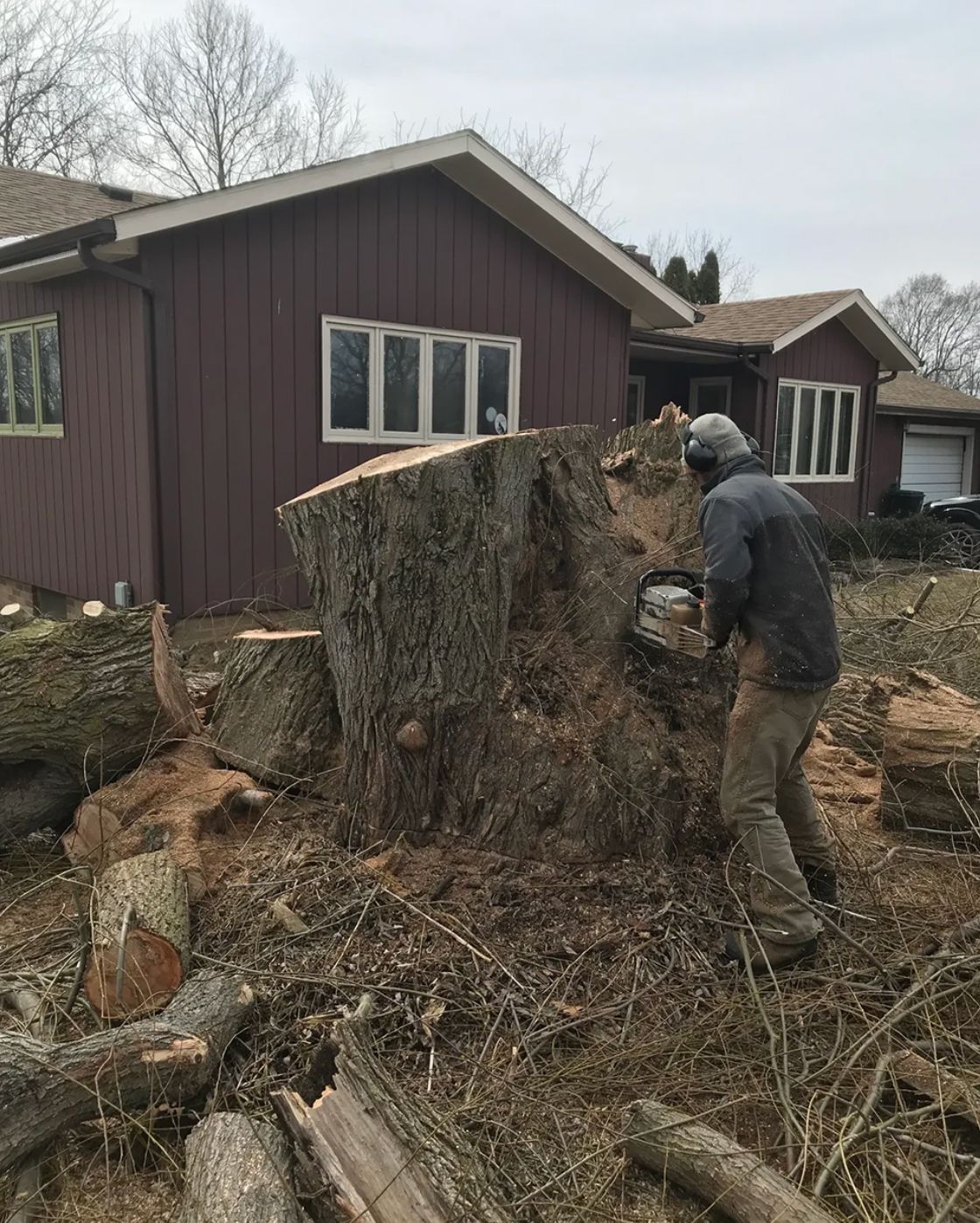 A man is cutting a tree stump with a chainsaw in front of a house.