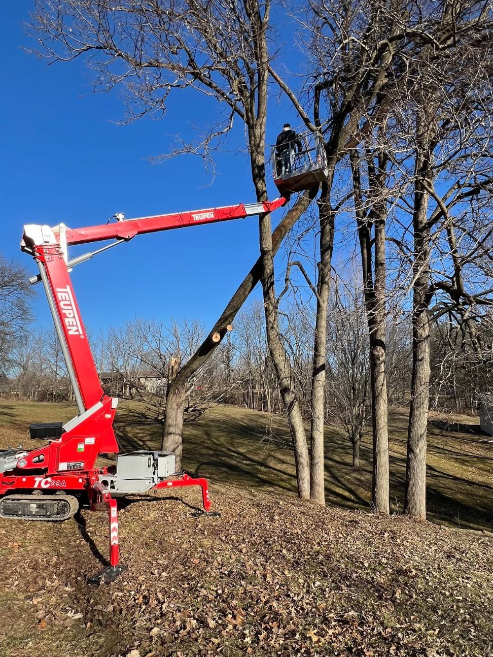 A man is cutting a tree with a crane.