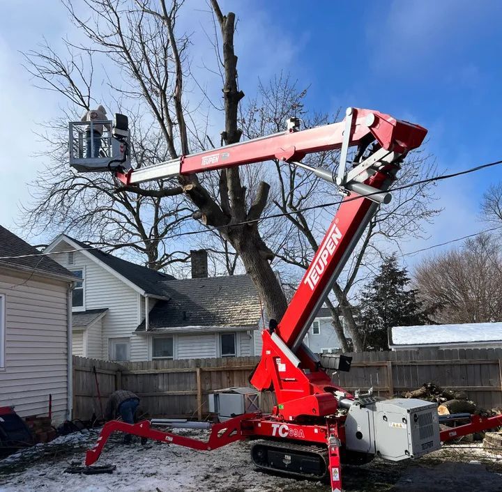 Red lift truck pruning a tree, person in bucket. Residential yard, sunny day.