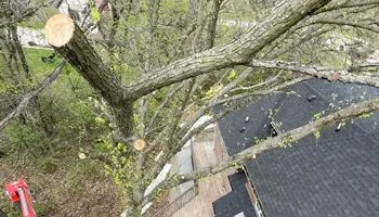 A high-angle view shows tree branches being trimmed above a house roof, with a red lift visible in the lower left.