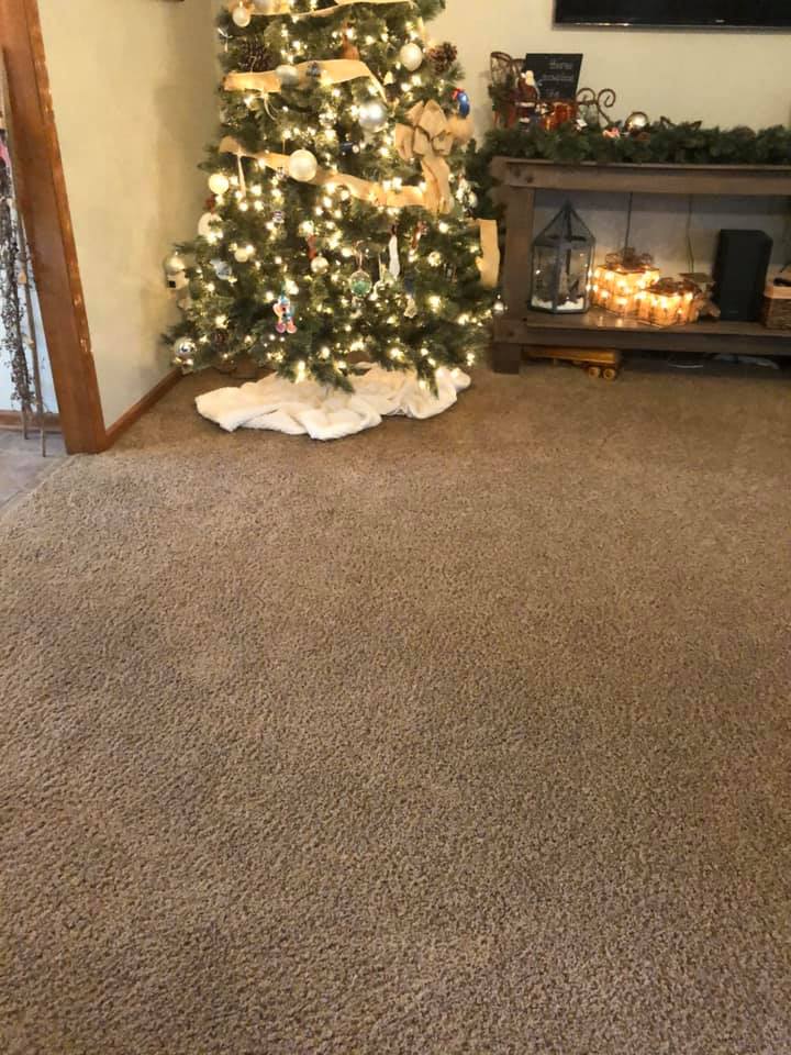 Christmas Tree On Carpet — Lancaster, OH — Ewing Steam Cleaning Inc.