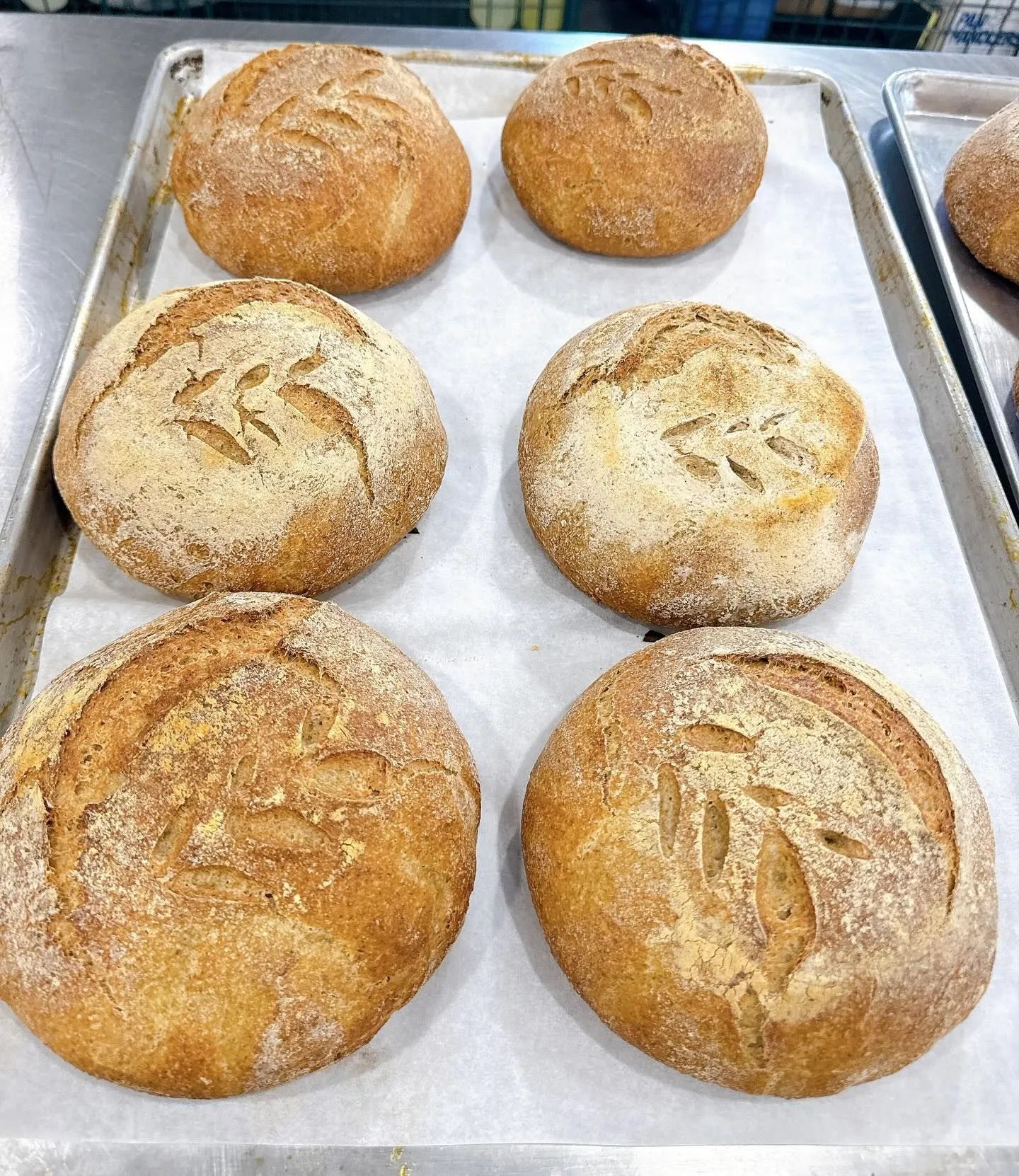 Sourdough Class in Mesa, AZ