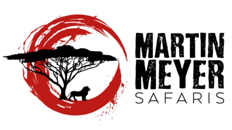 Lion silhouette under a tree, inside a red brushstroke circle, with