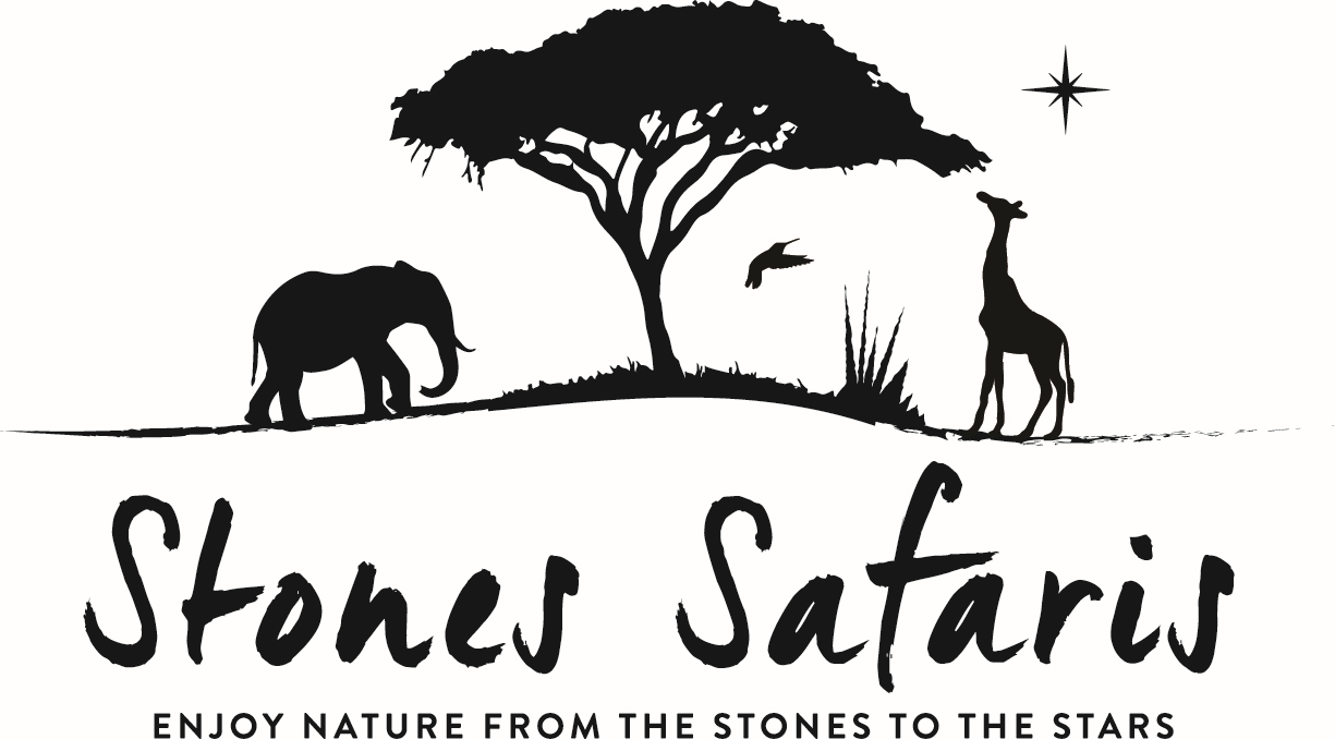 Silhouette of African safari scene: elephant, tree, giraffe, bird, stars, and