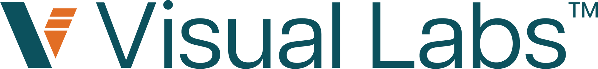 The logo for visual labs is a versatile public safety company.
