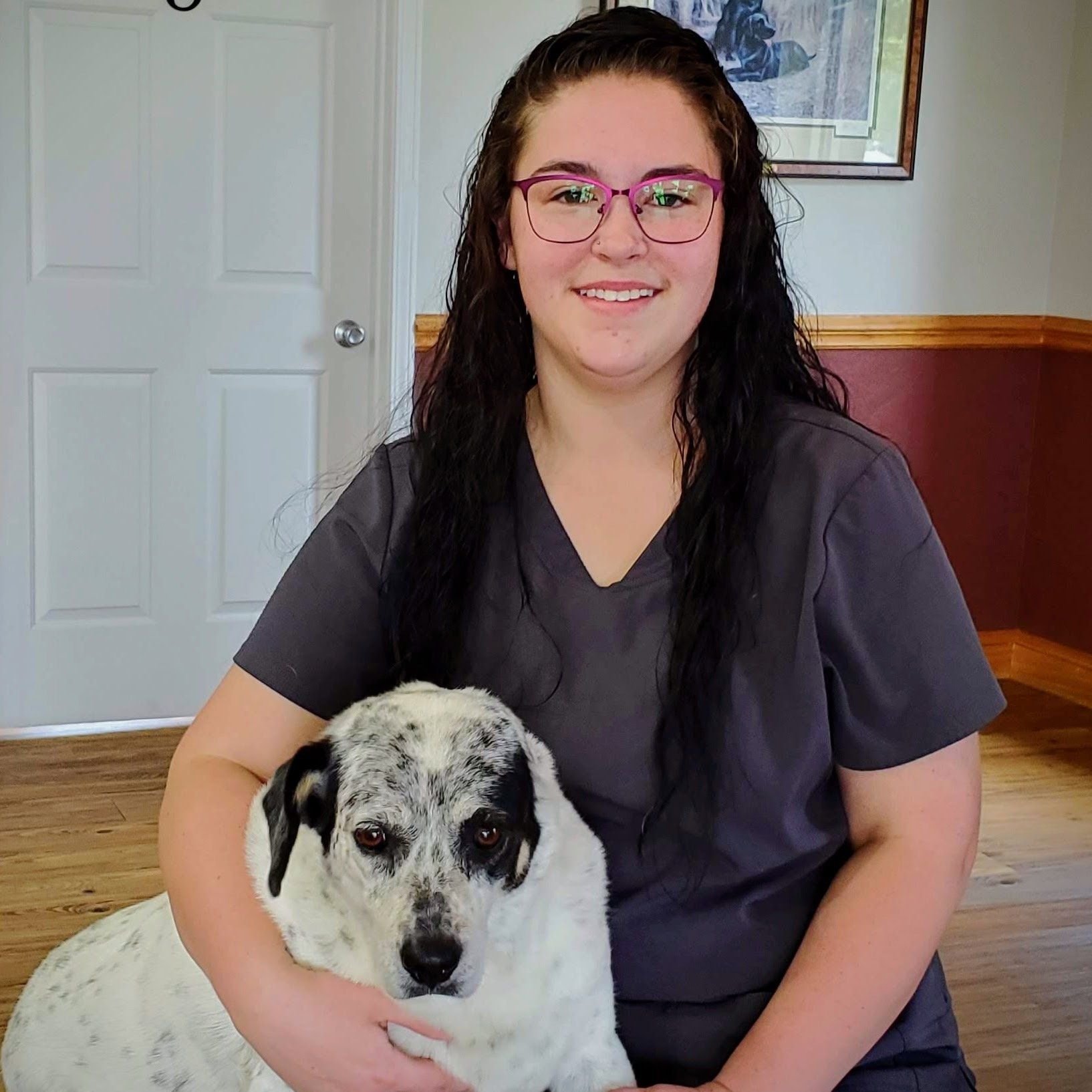 Local Vet | East Bend, NC | Grandview Animal Hospital