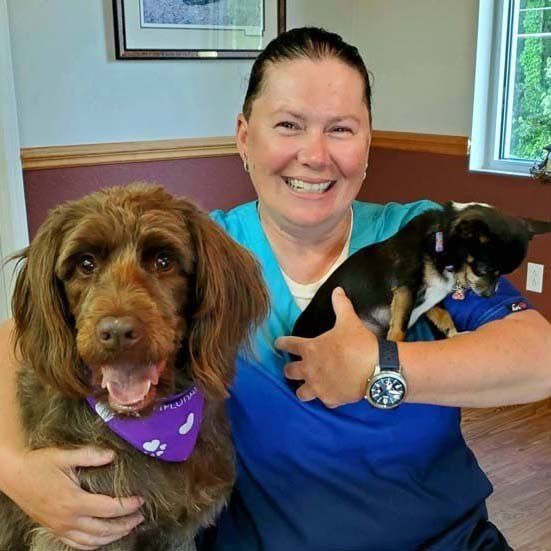 Local Vet East Bend, NC Grandview Animal Hospital