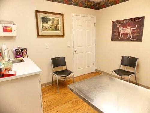 Animal Hospital Room — East Bend, NC — Grandview Animal Hospital