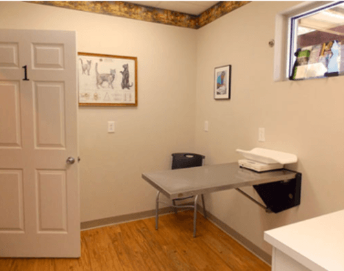 Examination Room — East Bend, NC — Grandview Animal Hospital