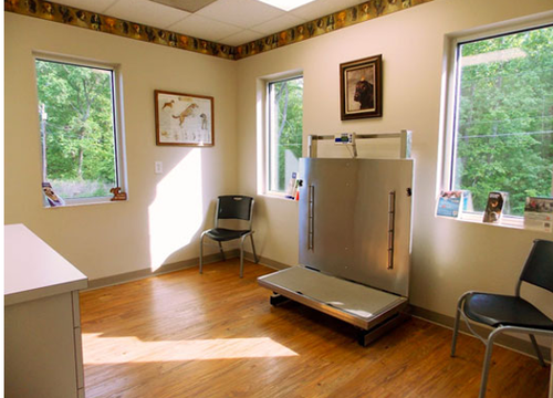 Animal Hospital Equipments — East Bend, NC — Grandview Animal Hospital