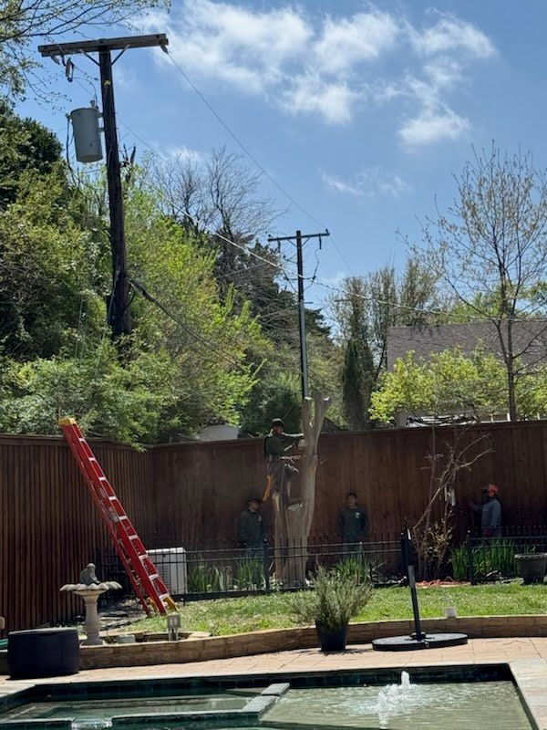 A red ladder is sitting next to a pool in a backyard.