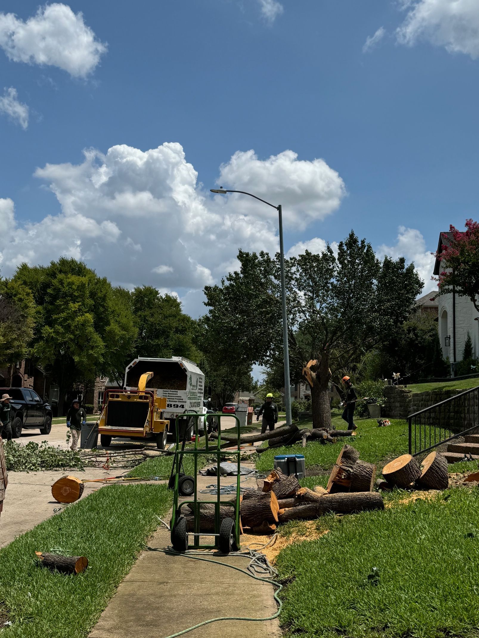 A tree stump is being removed from the sidewalk in front of a house.