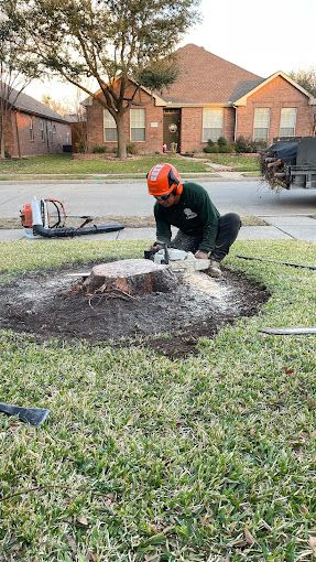 A man is cutting a tree stump with a chainsaw.