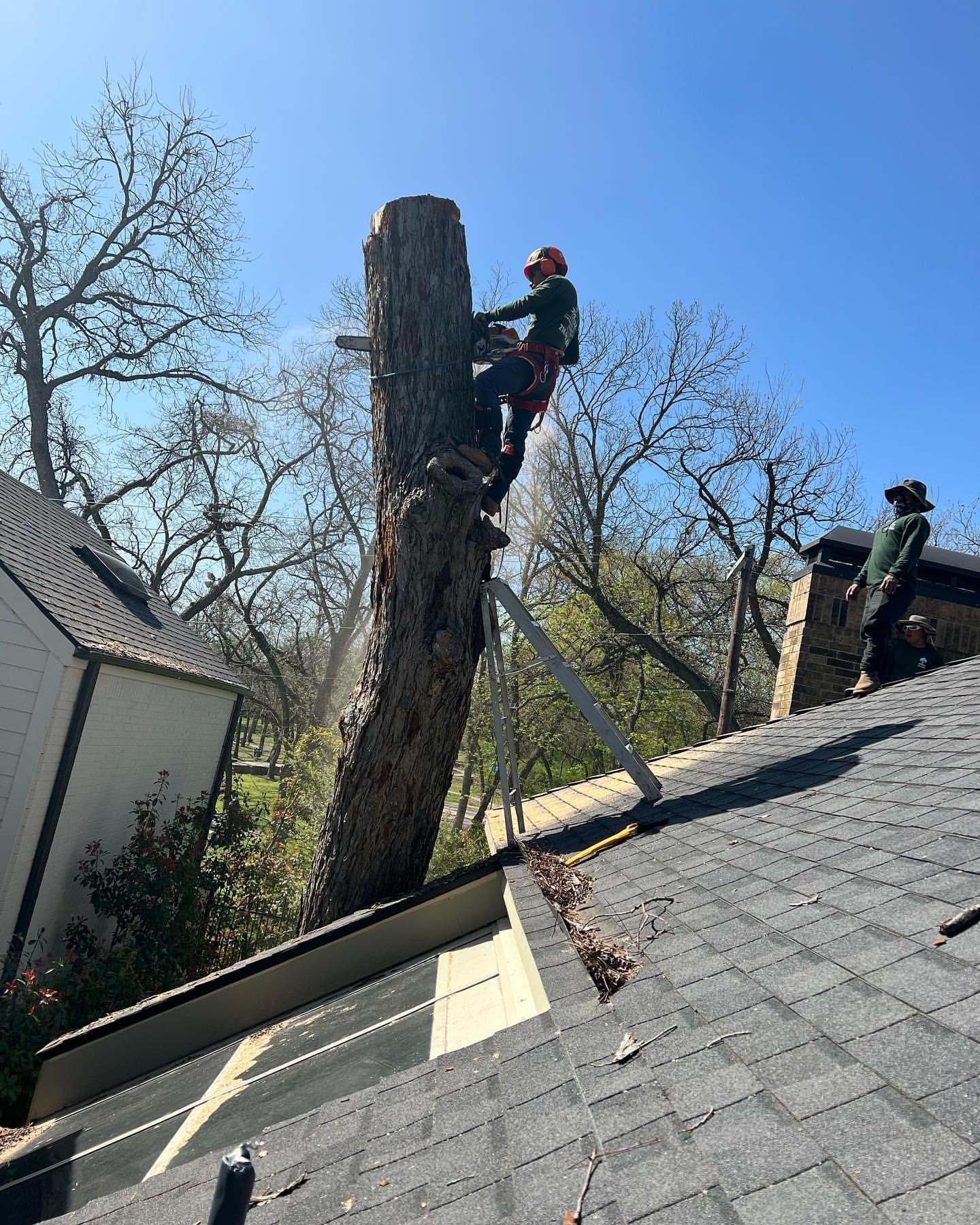 A man is climbing a tree stump on top of a roof.