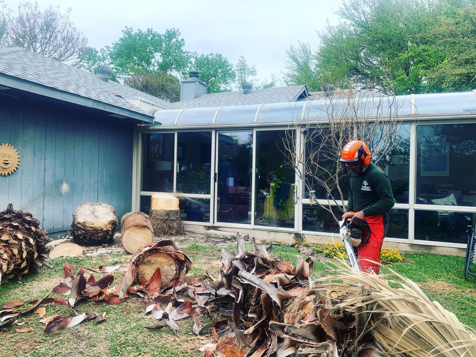 A man is cutting a tree in front of a house.