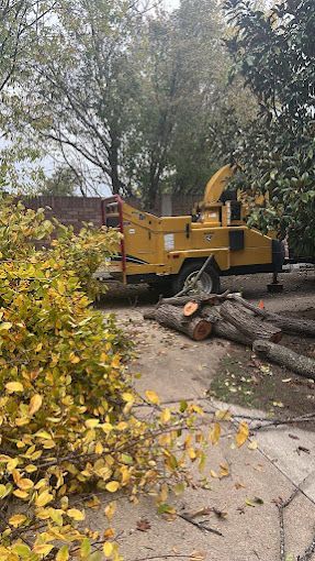 A tree chipper is cutting down a tree in a yard.