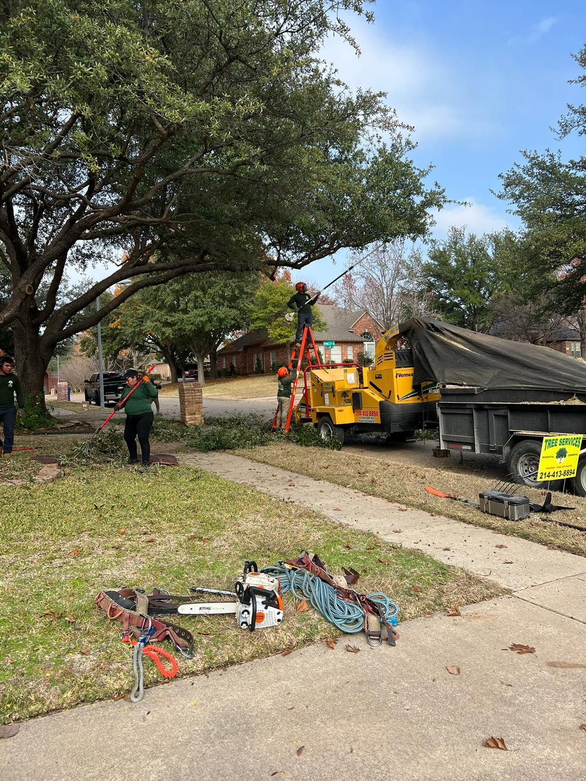 A tree is being cut down by a machine in a yard.