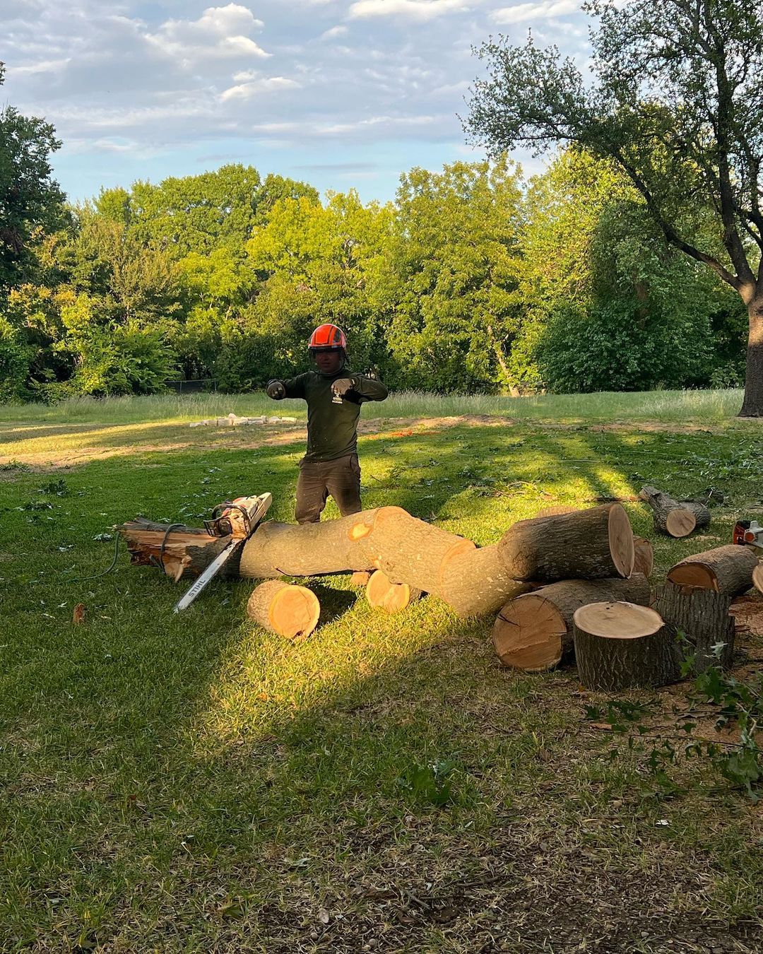 A man is cutting a tree with a chainsaw in a park.