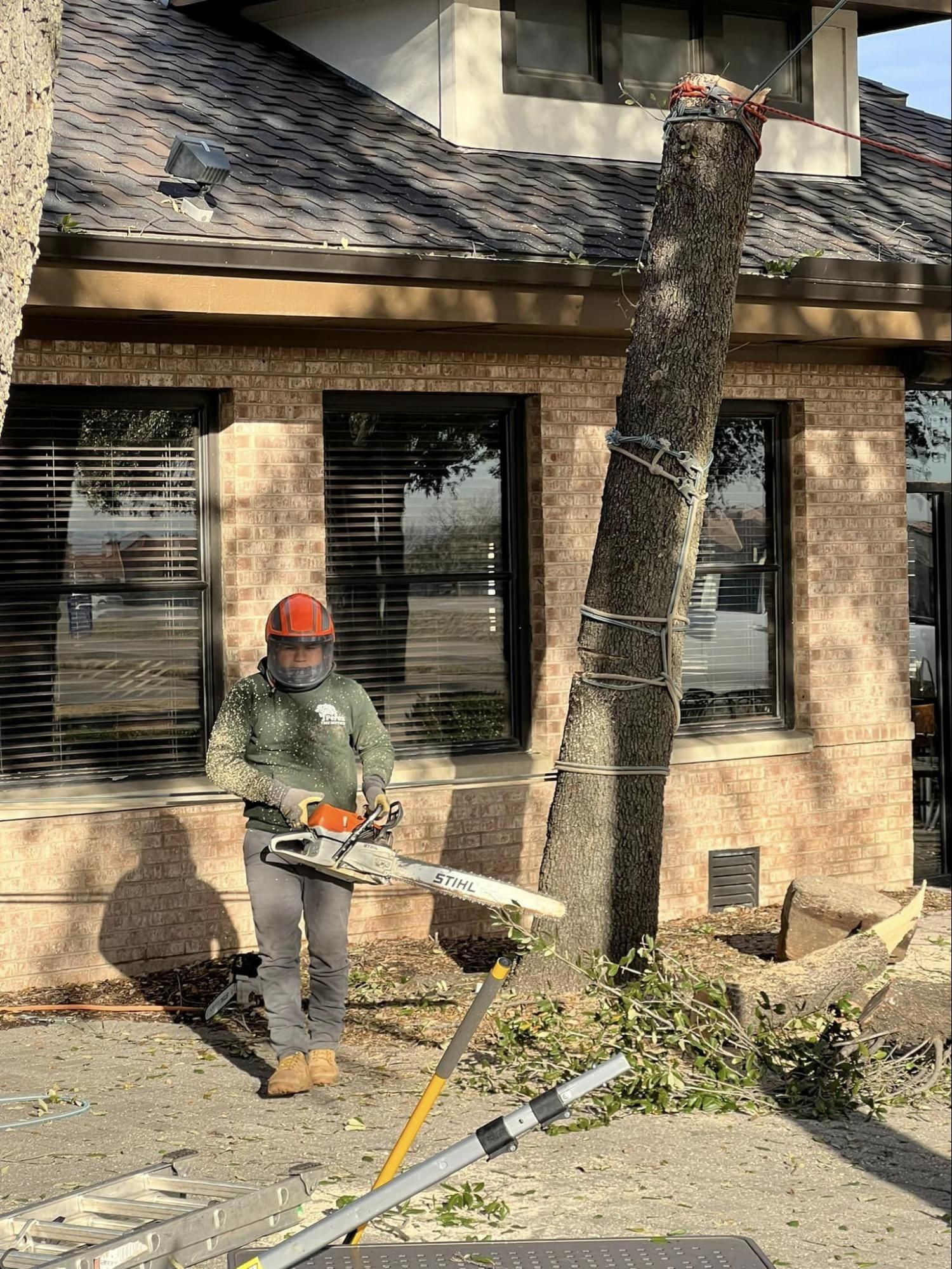 A man is cutting a tree with a chainsaw in front of a brick building.