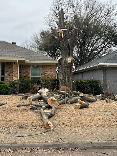 A tree that has been cut down in front of a house.