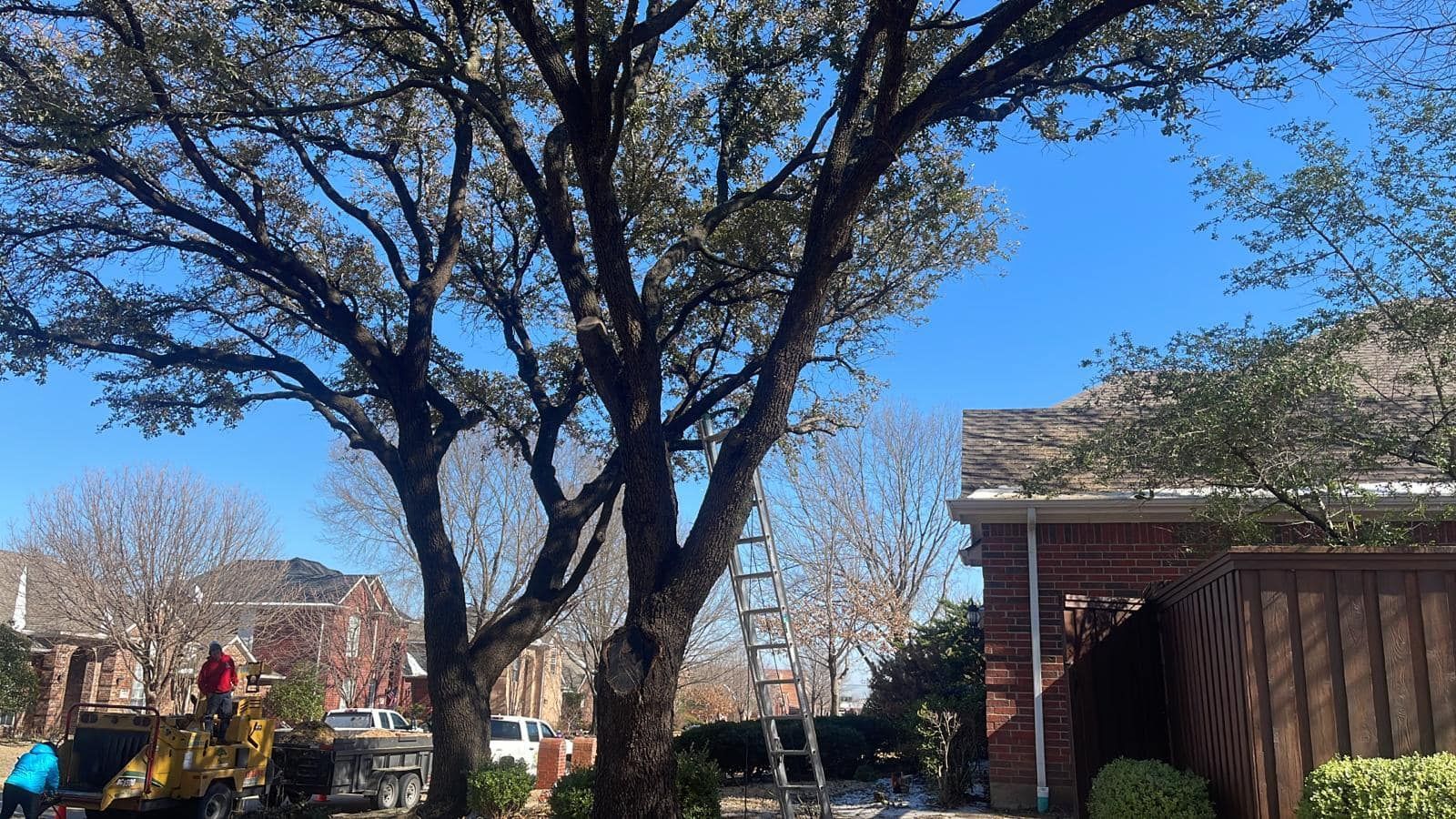 A group of people are cutting trees in front of a house.