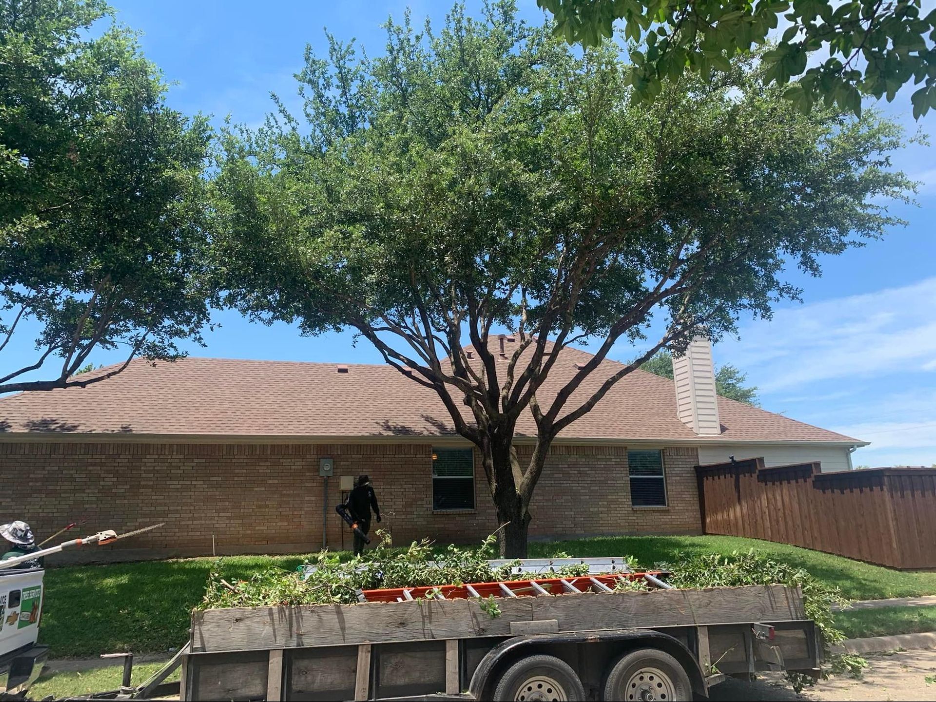 A tree is sitting on top of a trailer in front of a house.