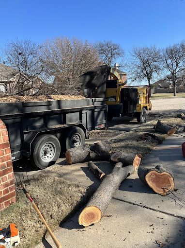 A dump truck filled with logs is parked in a driveway next to a pile of logs.