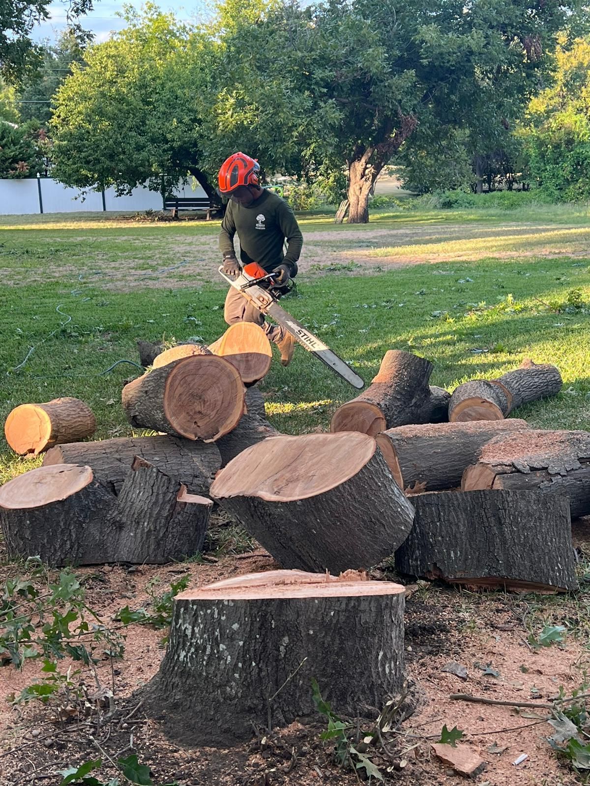 A man is cutting a tree with a chainsaw in a park.