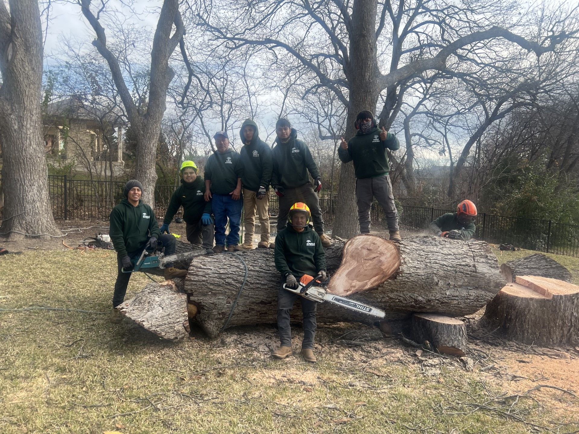 A group of people are posing for a picture next to a large tree stump.