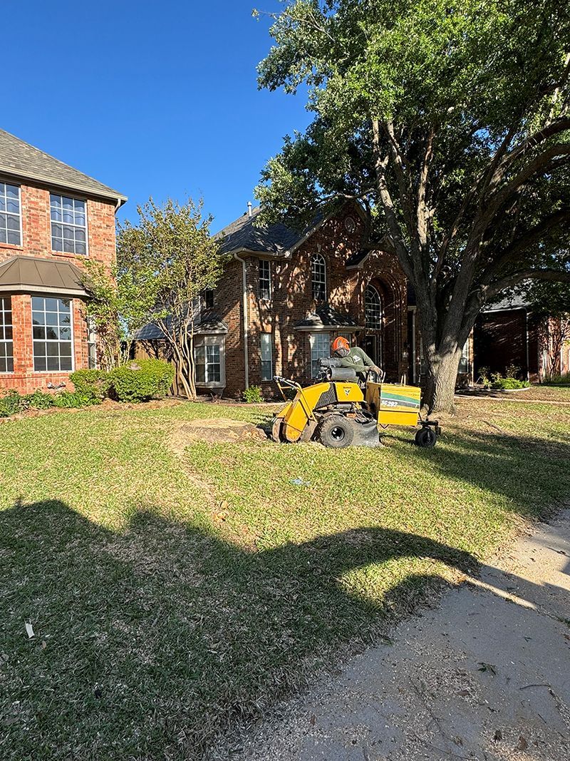 A man is using a stump grinder to remove a tree stump in front of a house.