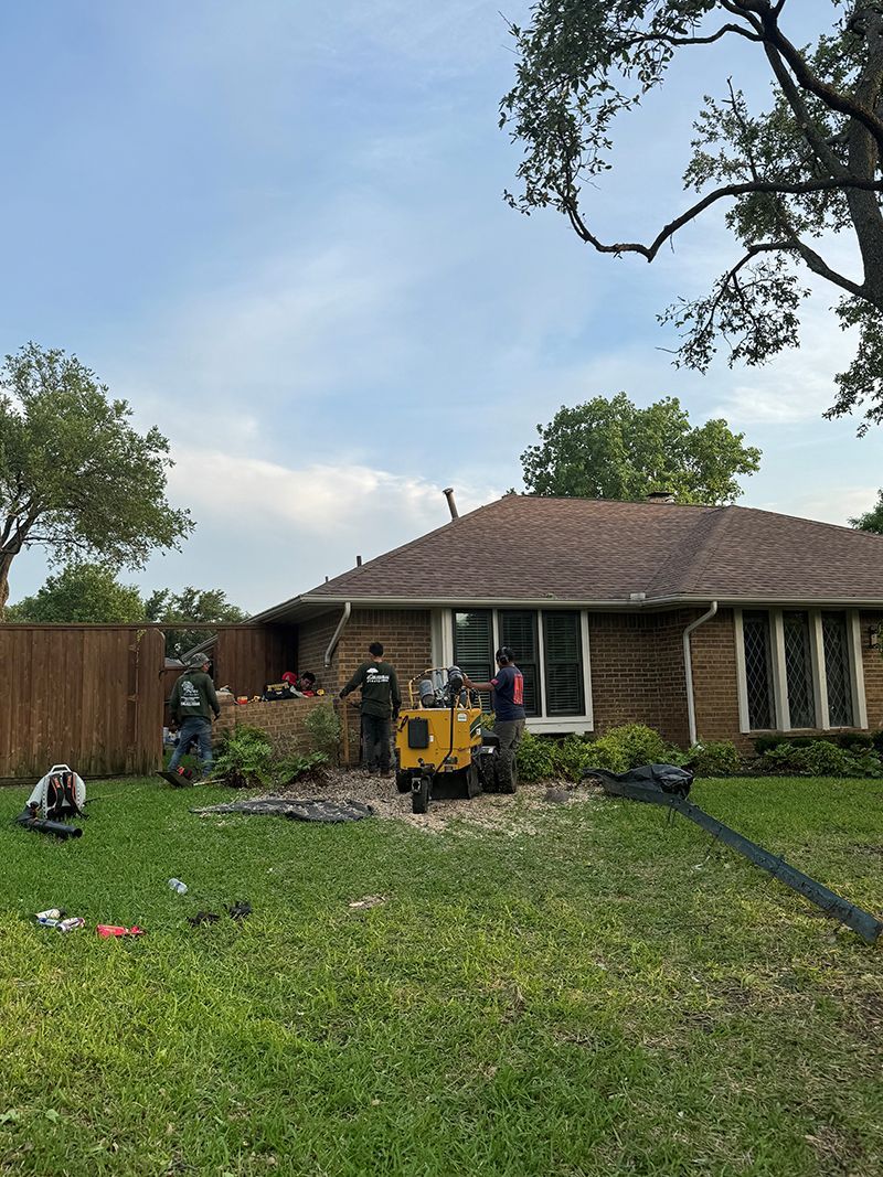 A group of people are working on a tree stump in front of a house.