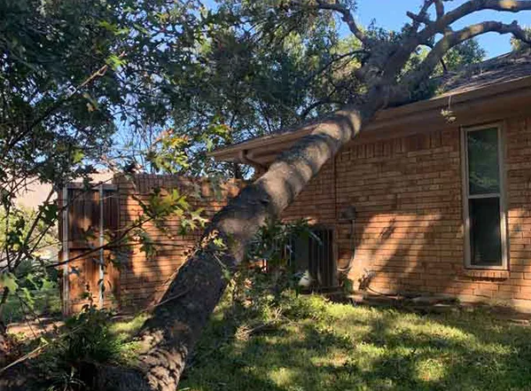 A large tree has fallen onto the roof of a brick house, likely due to a storm.