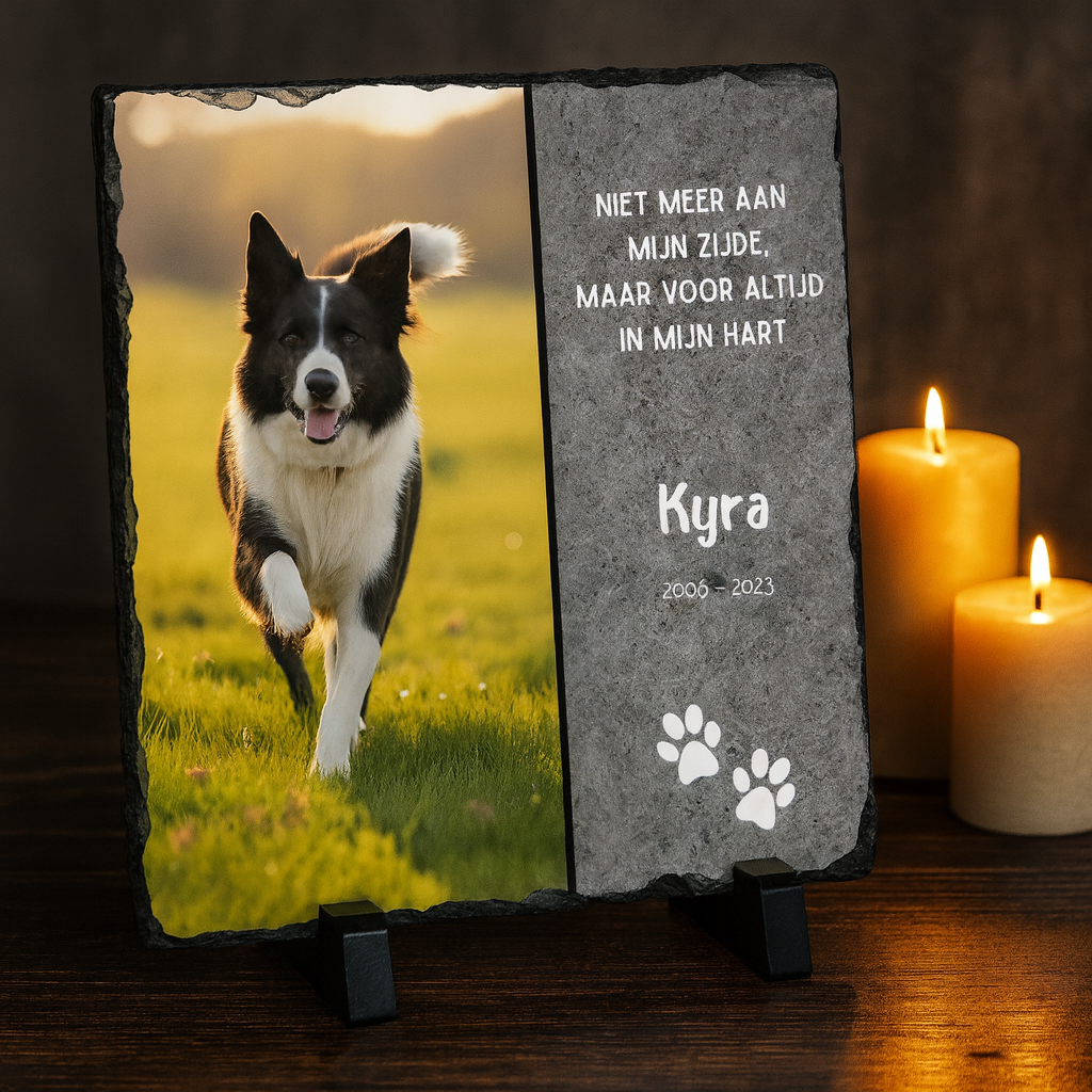 Leisteen gedenktegel hond