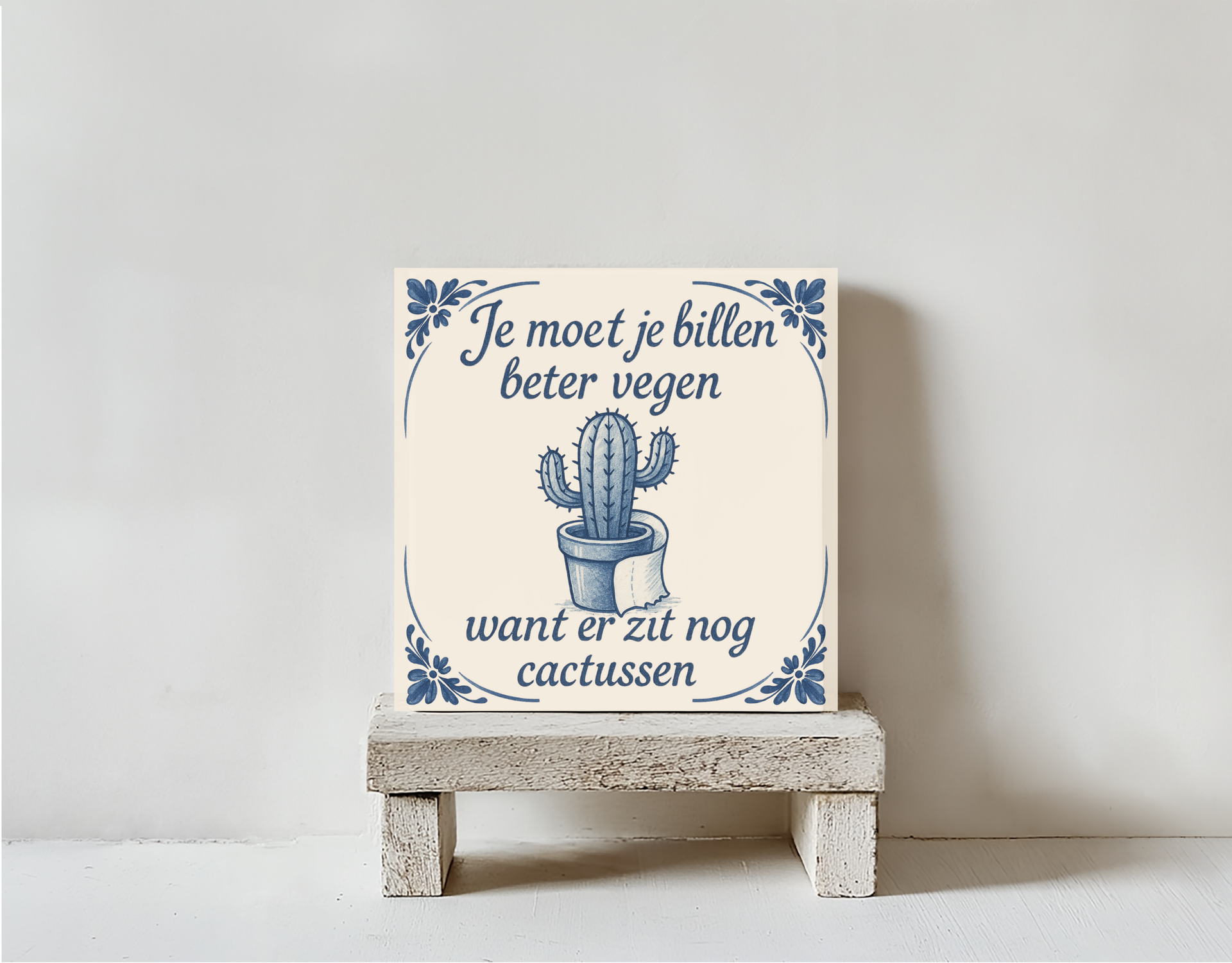 Tegeltje cactussen steen
