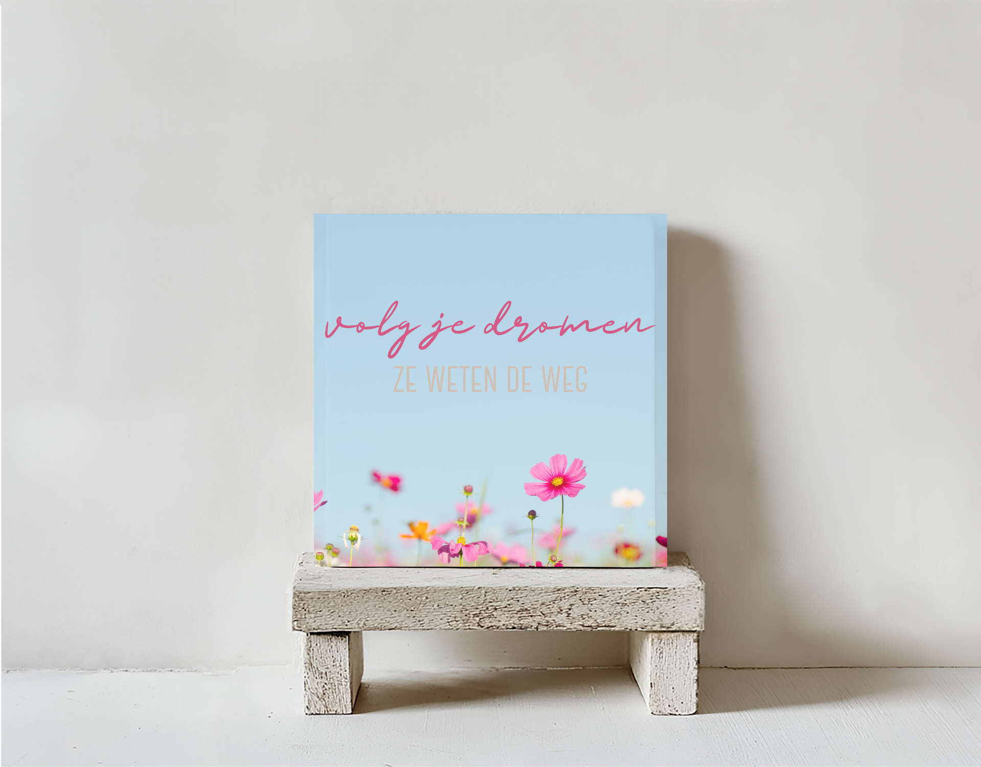 Tegeltje dromen steen