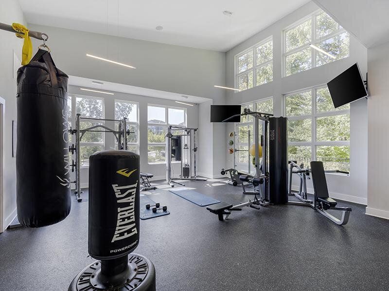 Bright apartment gym with large windows, boxing bag, and various weight machines.