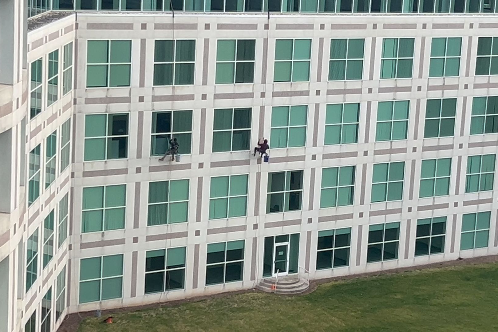 Two window washers rappelling down the side of a light-colored building with many green-tinted windows.