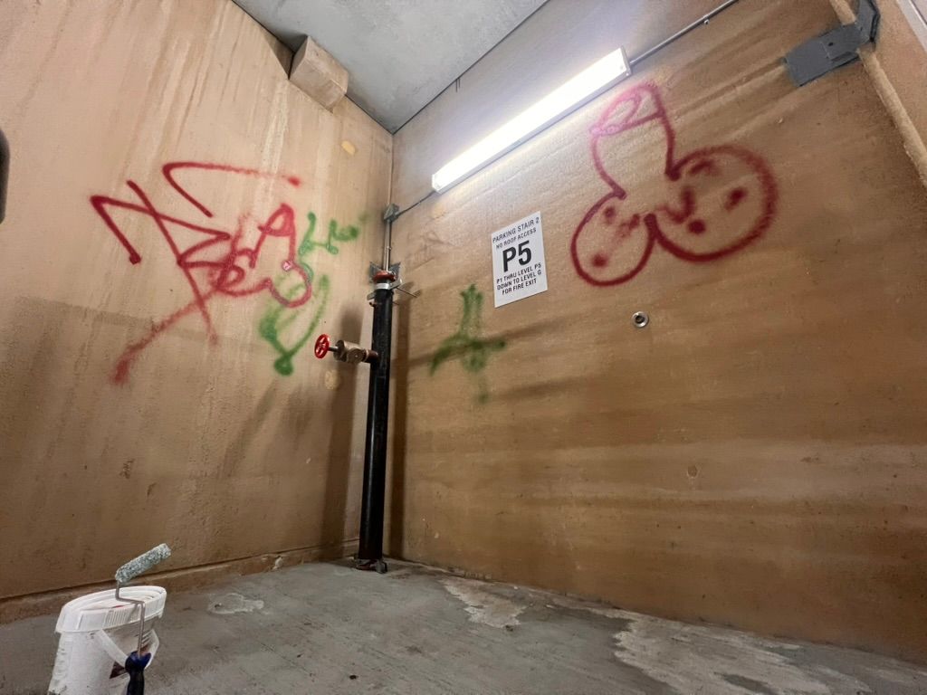 Graffiti on wooden walls; red and green spray paint. A drawing of a penis is visible. Bucket and roller in corner.