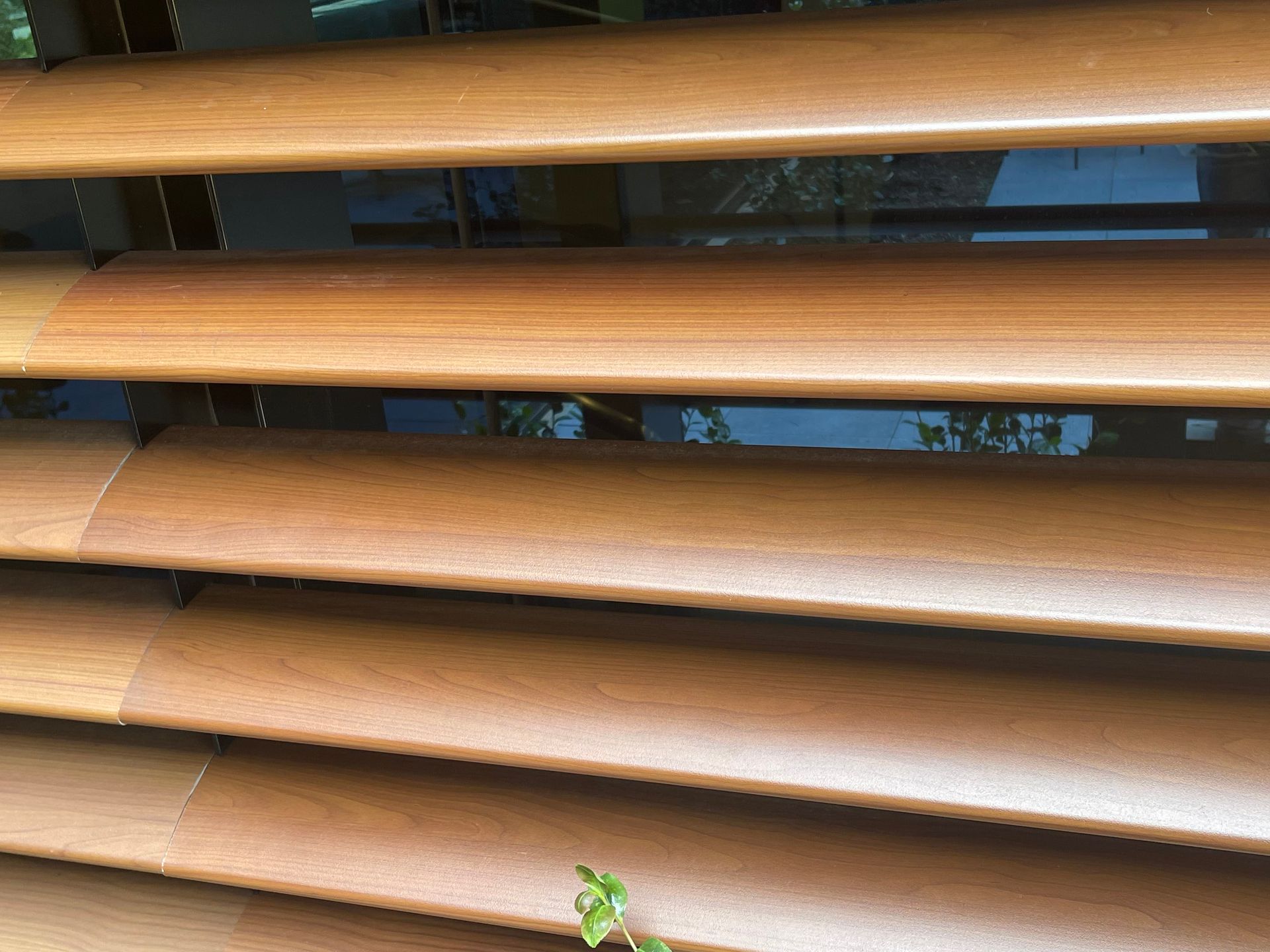 Wooden horizontal blinds, partially closed, showing a glimpse of the outside.