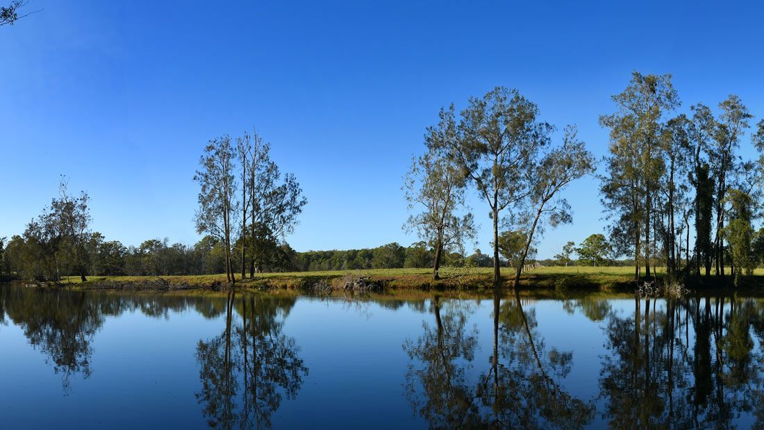 A Lake With Trees Reflected in the Water on a Sunny Day — Taree Tilt Tray Towing In Nabiac, NSW