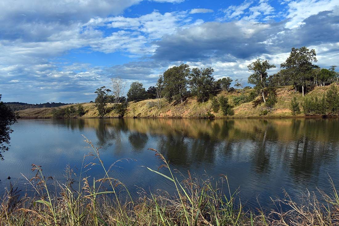 A Large Body of Water Surrounded by Trees and Grass on a Cloudy Day — Taree Tilt Tray Towing In Wingham, NSW