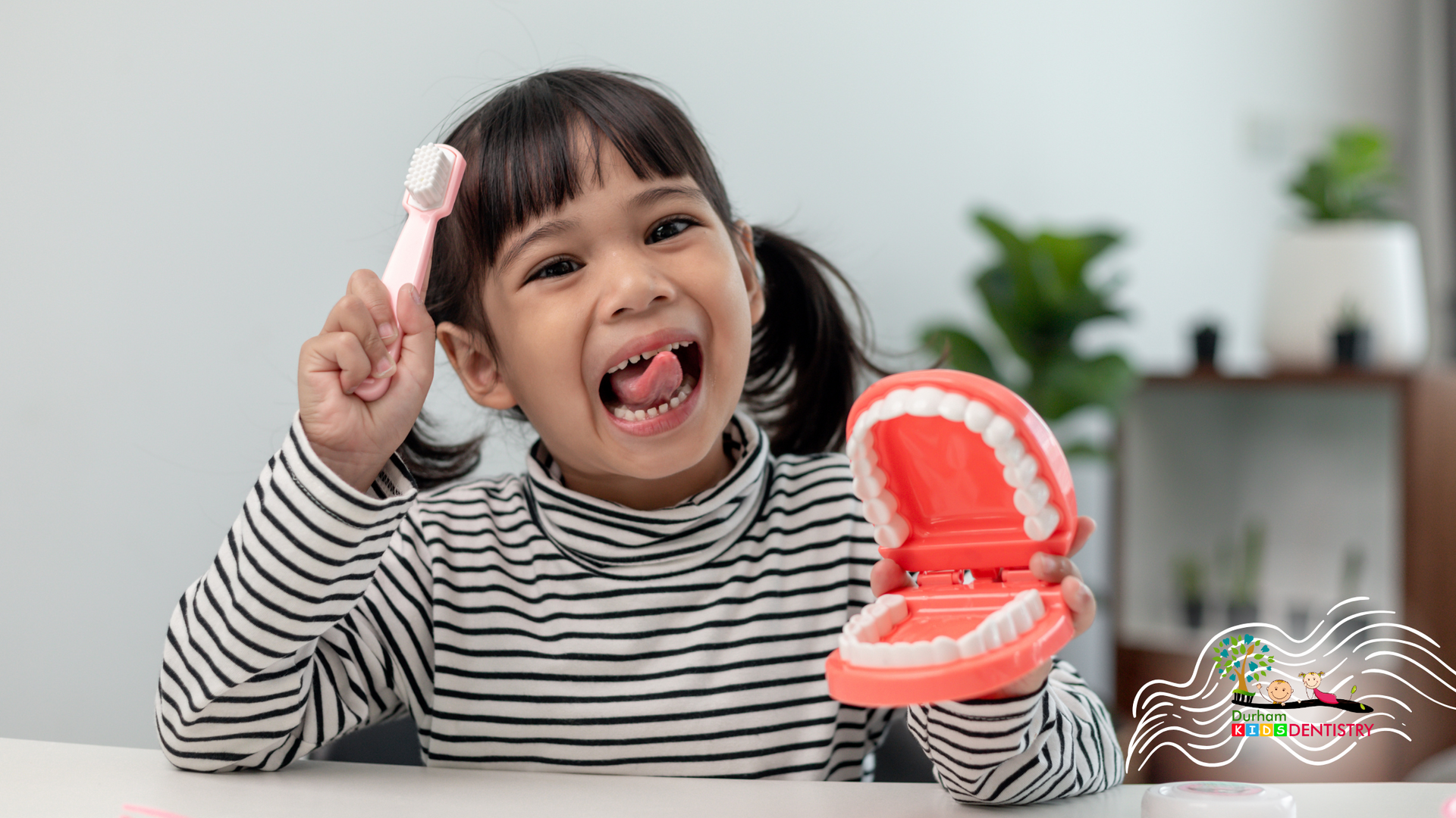 A little girl is brushing her teeth with a toothbrush and holding a model of teeth.